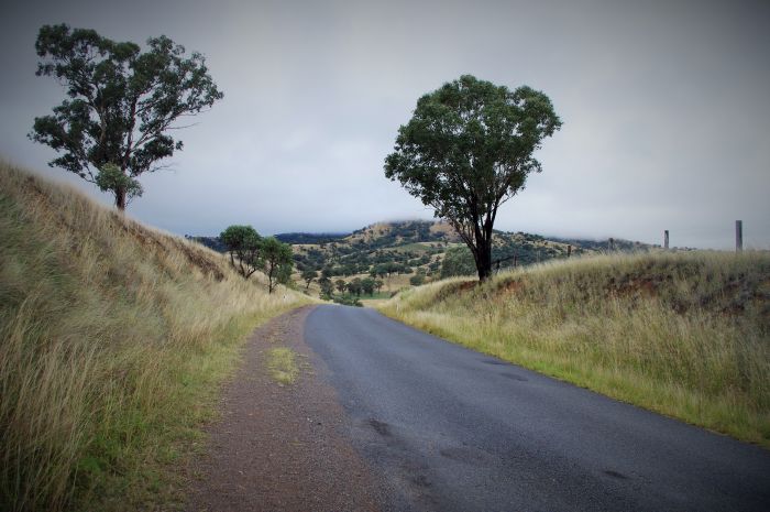 Narrow black bitumen road through rolling hills on a grey day